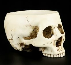 Totenkopf Schale -FIGUREN Verkäufe 10220 1 skull bowl 1 1280x1280