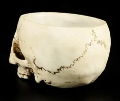Totenkopf Schale -FIGUREN Verkäufe 10220 3 skull bowl 3 1280x1280