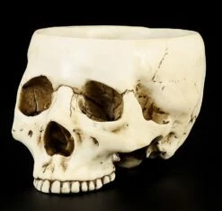 Totenkopf Schale -FIGUREN Verkäufe 10220 4 skull bowl 4 1280x1280