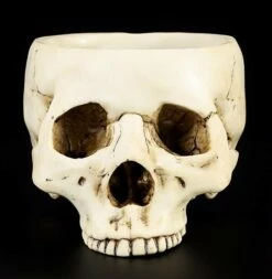 Totenkopf Schale -FIGUREN Verkäufe 10220 5 skull bowl 5 1280x1280