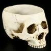 Totenkopf Schale 2 Totenkopf Schale -FIGUREN Verkäufe 10220 6 skull bowl 6 1280x1280