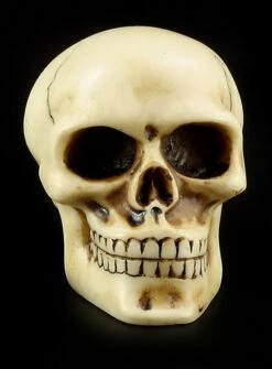 Totenkopf Schaltknauf - Knochenfarben