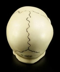 Totenkopf Schaltknauf - Knochenfarben -FIGUREN Verkäufe 10870 3 skull gear knob 3 1280x1280