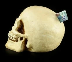 Totenkopf Spardose - Menschen Schädel -FIGUREN Verkäufe 11521 4 human skull 4 1280x1280