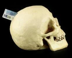 Totenkopf Spardose - Menschen Schädel -FIGUREN Verkäufe 11521 6 human skull 6 1280x1280