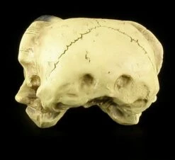 Alchemy The Vault - Raben Totenkopf -FIGUREN Verkäufe 11544 5 raben totenkopf 5 1280x1280