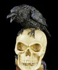 Alchemy The Vault - Rabe Auf Totenkopf - Poes Raven -FIGUREN Verkäufe 11545 7 poes raven 7 1280x1280