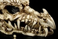 Riesen-Drachenschädel -FIGUREN Verkäufe 1202 3 drachenschaedel 3 1280x1280