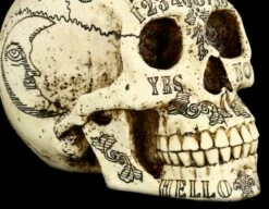 Totenkopf - Witchboard -FIGUREN Verkäufe 12554 7 totenkopf witchboard 7 1280x1280