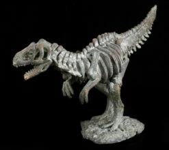 Dinosaurier Figur - Kleines Tyrannosaurus Rex Skelett -FIGUREN Verkäufe 12676 3 dinosaurier t rex 3 1280x1280