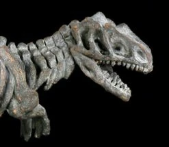 Dinosaurier Figur - Kleines Tyrannosaurus Rex Skelett -FIGUREN Verkäufe 12676 7 dinosaurier t rex 7 1280x1280