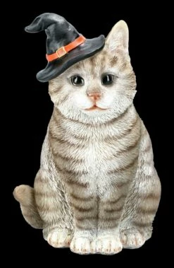 Graue Hexen-Katze Mit Zauberhut