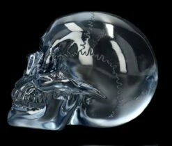 Durchsichtiger Totenkopf - Hellblau -FIGUREN Verkäufe 2D Ersatzbbilder FS14531 13 1280x1280