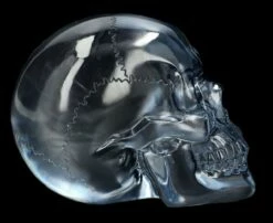 Durchsichtiger Totenkopf - Hellblau -FIGUREN Verkäufe 2D Ersatzbbilder FS14531 15 1280x1280