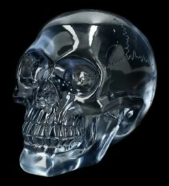 Durchsichtiger Totenkopf - Hellblau -FIGUREN Verkäufe 2D Ersatzbbilder FS14531 17 1280x1280