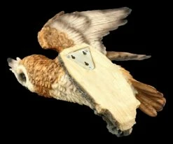 Wandrelief - Waldohreule Auf Ast Sitzend 9 Wandrelief - Waldohreule Auf Ast Sitzend -FIGUREN Verkäufe 2D FS20798 Wandrelief Waldohreule auf Ast sitzend 5 1280x1280