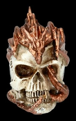 Alchemy Drache Auf Schädel - Klein -FIGUREN Verkäufe 2D FS21897 Alchemy Drache auf Schaedel klein 3 1280x1280