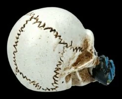 Alchemy Logo Schädel - Alchemist Klein -FIGUREN Verkäufe 2D FS21899 Alchemy Schaedel klein 52gHpNFhro6ZV8 1280x1280