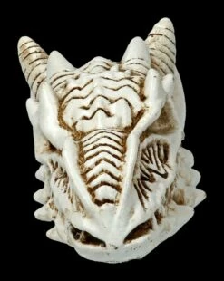 Alchemy Drachen Schädel - Klein -FIGUREN Verkäufe 2D FS21902 Alchemy Drachen Schaedel klein 2 1280x1280