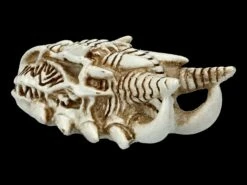 Alchemy Drachen Schädel - Klein -FIGUREN Verkäufe 2D FS21902 Alchemy Drachen Schaedel klein 4 1280x1280