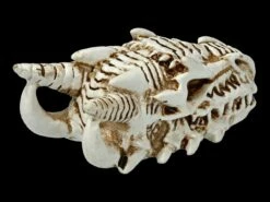 Alchemy Drachen Schädel - Klein -FIGUREN Verkäufe 2D FS21902 Alchemy Drachen Schaedel klein 5 1280x1280