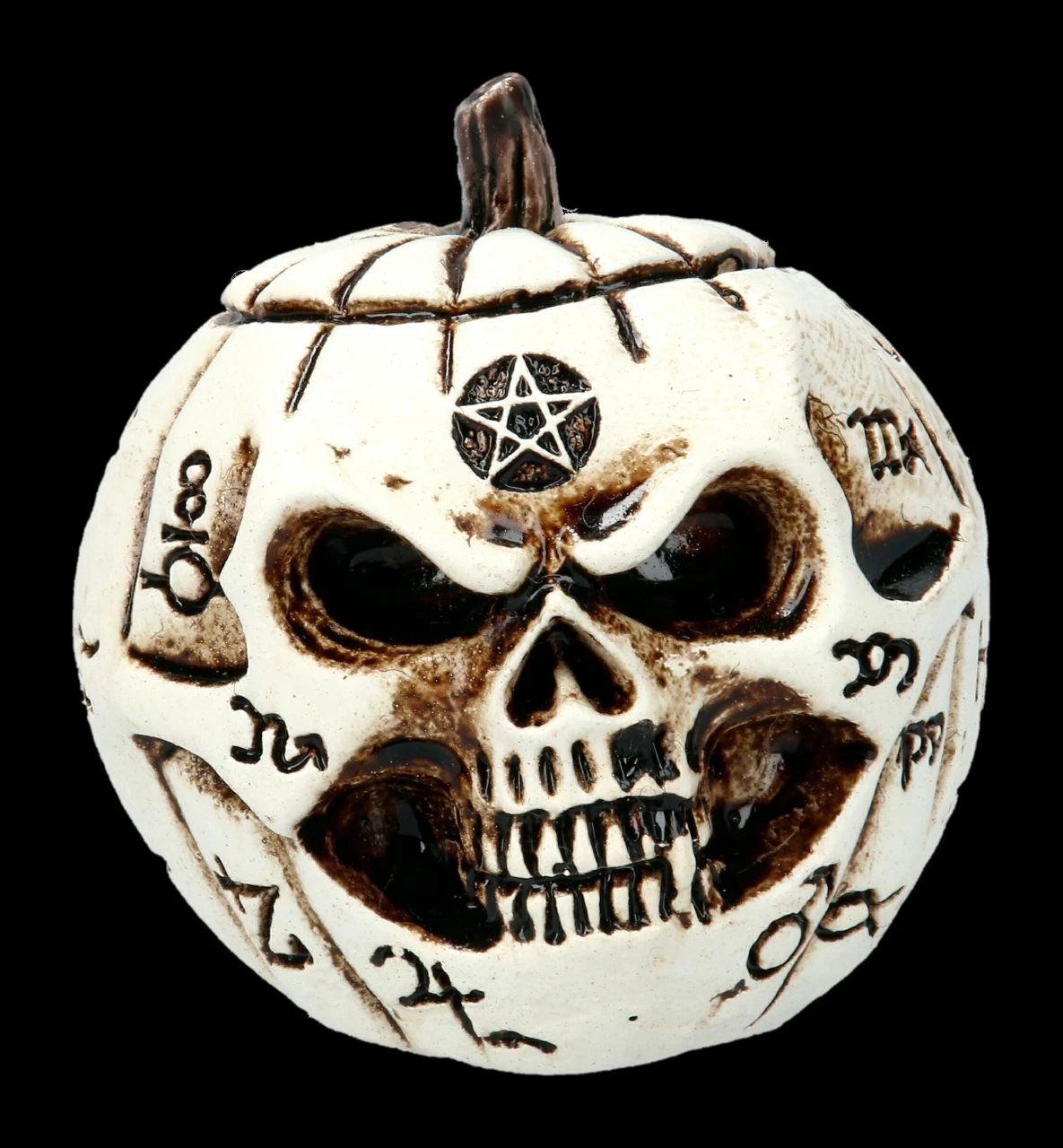 Alchemy Kürbis Schädel - Klein 5 Alchemy Kürbis Schädel - Klein – Bild 3