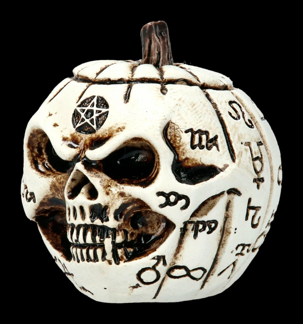 Alchemy Kürbis Schädel - Klein 6 Alchemy Kürbis Schädel - Klein – Bild 4