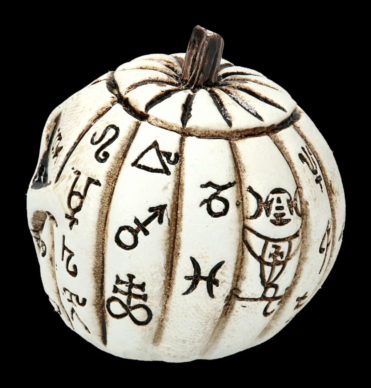 Alchemy Kürbis Schädel - Klein 7 Alchemy Kürbis Schädel - Klein – Bild 5