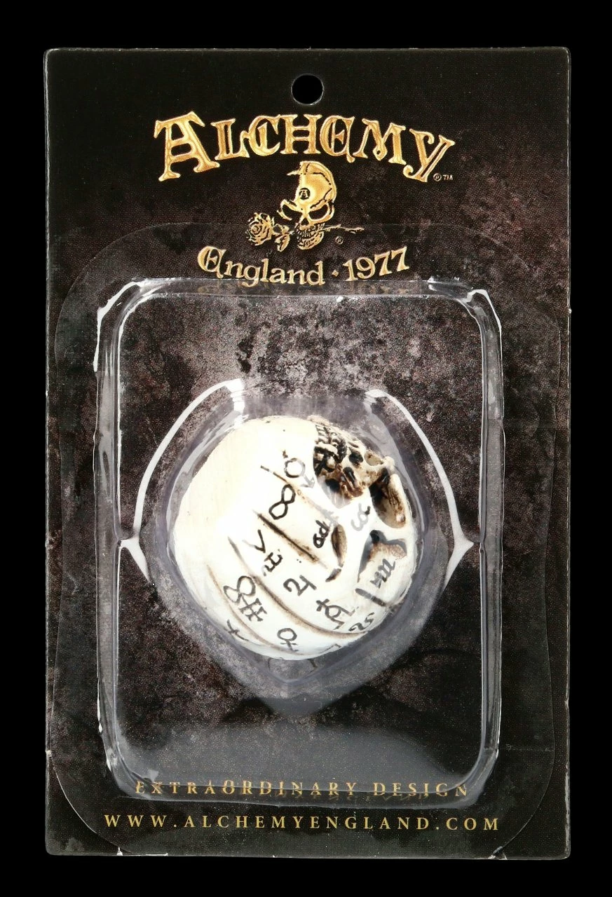 Alchemy Kürbis Schädel - Klein 4 Alchemy Kürbis Schädel - Klein – Bild 2