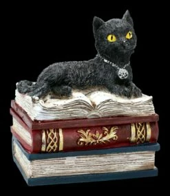Schatulle - Katze Auf Roten Büchern -FIGUREN Verkäufe 2D FS21978 Schatulle Katze auf roten Buechern 2 1280x1280