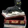 Schatulle - Katze Auf Roten Büchern 1 Schatulle - Katze Auf Roten Büchern -FIGUREN Verkäufe 2D FS21978 Schatulle Katze auf roten Buechern 3 1280x1280