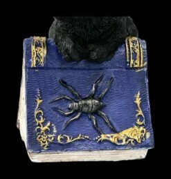 Kleine Hexenkatzen Figur - Pocus -FIGUREN Verkäufe 2D FS22368 Kleine Hexenkatzen Figur Pocus 7lSSwvggxg2c9R 1280x1280