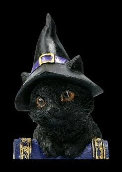 Kleine Hexenkatzen Figur - Pocus -FIGUREN Verkäufe 2D FS22368 Kleine Hexenkatzen Figur Pocus 8bSWerpYfOFHLV 1280x1280