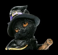 Kleine Hexenkatzen Figur - Tabitha 15 Kleine Hexenkatzen Figur - Tabitha -FIGUREN Verkäufe 2D FS22371 Kleine Hexenkatzen Figur Tabitha 6 1280x1280