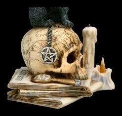 Katzen Figur - Spirits Of Salem -FIGUREN Verkäufe 2D FS22440 Katzen Figur Spirits of Salem 8 1280x1280