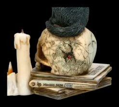 Katzen Figur - Spirits Of Salem -FIGUREN Verkäufe 2D FS22440 Katzen Figur Spirits of Salem 9 1280x1280