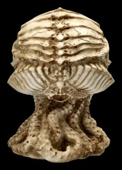 Cthulhu Totenkopf Figur By James Ryman 16 Cthulhu Totenkopf Figur By James Ryman -FIGUREN Verkäufe 2D FS22466 Cthulhu Totenkopf Figur by James Ryman 4 1280x1280