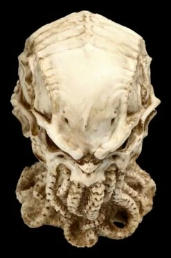 Cthulhu Totenkopf Figur By James Ryman 19 Cthulhu Totenkopf Figur By James Ryman -FIGUREN Verkäufe 2D FS22466 Cthulhu Totenkopf Figur by James Ryman 9 1280x1280