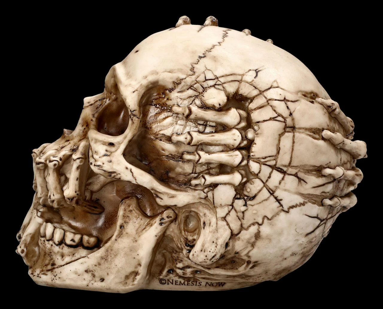 Totenkopf Figur - Breaking Out By James Ryman 6 Totenkopf Figur - Breaking Out By James Ryman – Bild 4