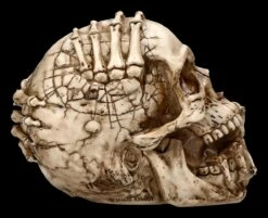 Totenkopf Figur - Breaking Out By James Ryman 16 Totenkopf Figur - Breaking Out By James Ryman -FIGUREN Verkäufe 2D FS22481 Totenkopf Figur Breaking Out by James Ryman 4 1280x1280