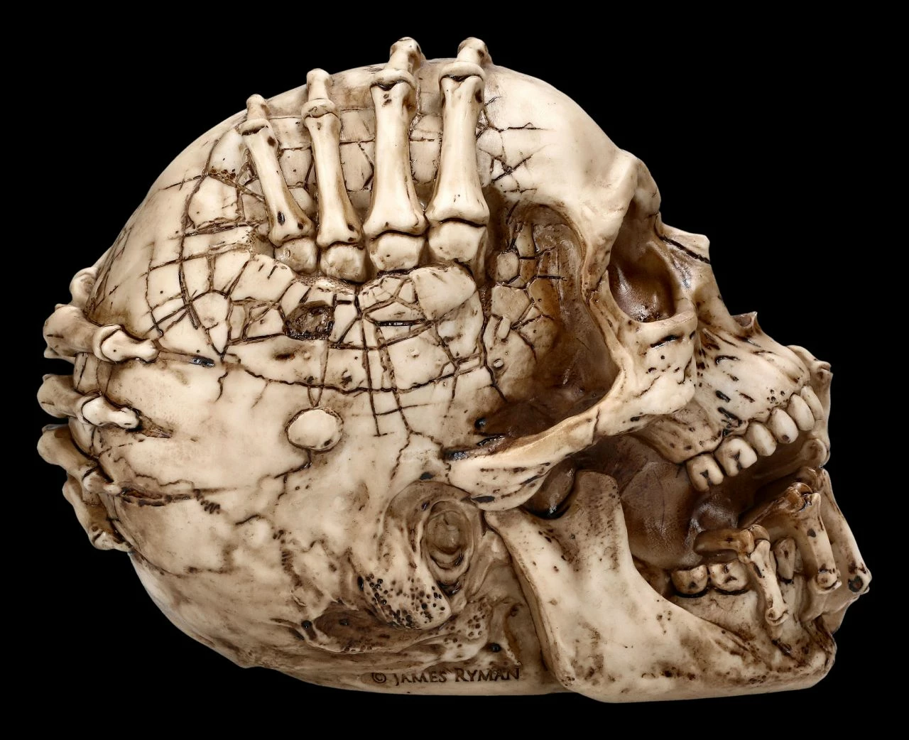 Totenkopf Figur - Breaking Out By James Ryman 8 Totenkopf Figur - Breaking Out By James Ryman – Bild 6