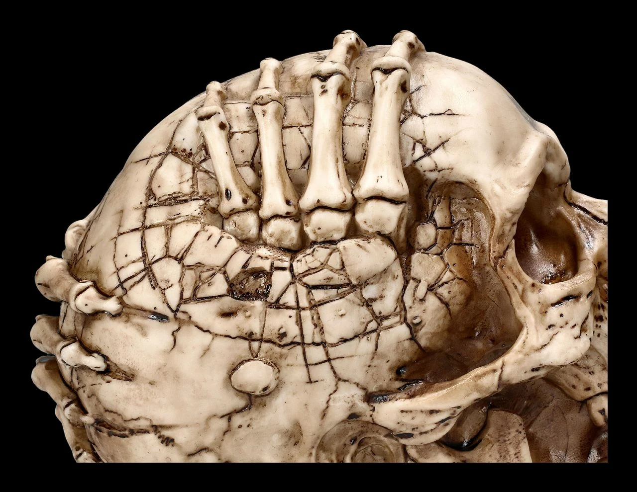 Totenkopf Figur - Breaking Out By James Ryman 9 Totenkopf Figur - Breaking Out By James Ryman – Bild 7