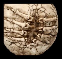 Totenkopf Figur - Breaking Out By James Ryman 18 Totenkopf Figur - Breaking Out By James Ryman -FIGUREN Verkäufe 2D FS22481 Totenkopf Figur Breaking Out by James Ryman 6 1280x1280