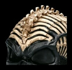 Totenkopf Figur - Spine Head By James Ryman -FIGUREN Verkäufe 2D FS22482 Totemkopf Figur Spine Head by James Ryman 6 1280x1280