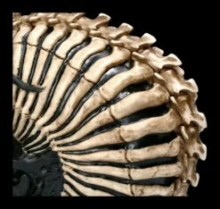 Totenkopf Figur - Spine Head By James Ryman -FIGUREN Verkäufe 2D FS22482 Totemkopf Figur Spine Head by James Ryman 7 1280x1280