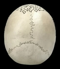 Totenschädel Poker - Royal Flush 13 Totenschädel Poker - Royal Flush -FIGUREN Verkäufe 2D FS22587 Totenschaedel Poker Royal Flush 4 1280x1280