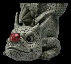 Gartenfigur - Drache Mit Marienkäfer Auf Der Nase 17 Gartenfigur - Drache Mit Marienkäfer Auf Der Nase -FIGUREN Verkäufe 2D FS22608 Gartenfigur Drache mit Marienkaefer auf der Nase 7 1280x1280