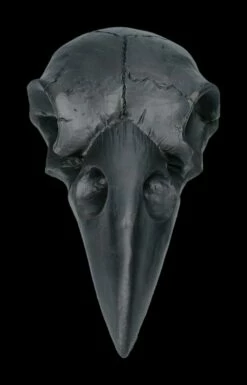 Handspiegel - Rabenschädel Schwarz -FIGUREN Verkäufe 2D FS22639 Handspiegel Rabenschaedel schwarz 1 1280x1280