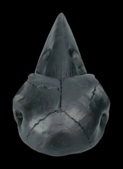 Handspiegel - Rabenschädel Schwarz -FIGUREN Verkäufe 2D FS22639 Handspiegel Rabenschaedel schwarz 3 1280x1280