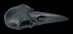 Handspiegel - Rabenschädel Schwarz -FIGUREN Verkäufe 2D FS22639 Handspiegel Rabenschaedel schwarz 4 1280x1280